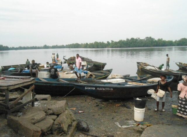 économie : Projection du développement halieutique à kribi