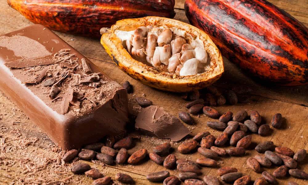 Exploitation des fèves de Cacao