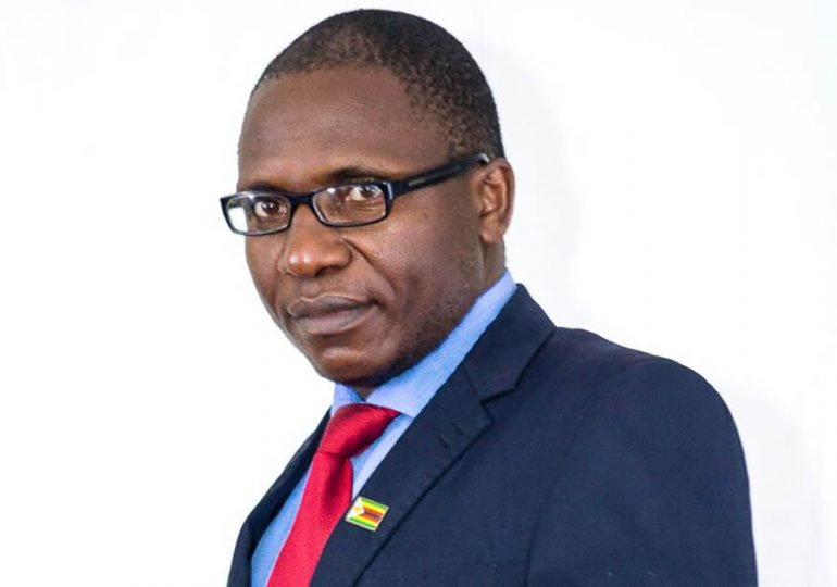 Zimbabwe : L'opposant Jacob Ngarivhume arrêté en juillet pour "appel à la manifestation" a été relâché sous caution