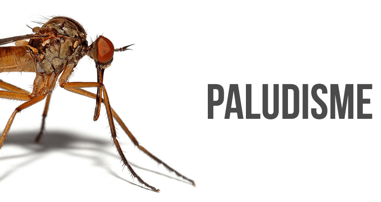 La Malaria, plusieurs cas enregistrés en Algérie