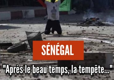 Sénégal : L'Hirondelle présidentielle qui annonce le printemps