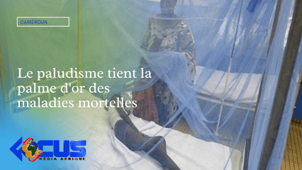 Cameroun : Le paludisme tient la palme d'or des maladies mortelles