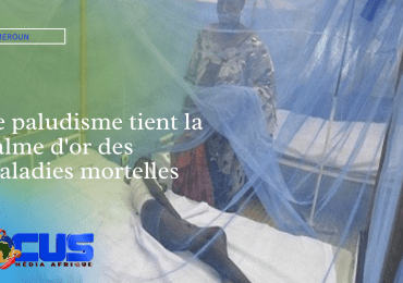 Cameroun : Le paludisme tient la palme d'or des maladies mortelles