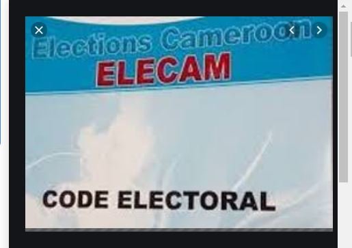 Cameroun : Les contours du code électoral