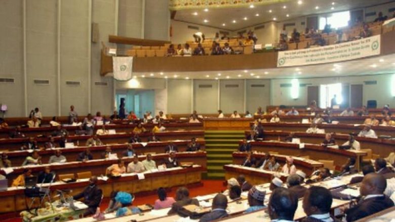 Cameroun : Lente activité de dépôt des projets de loi