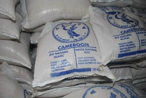 Economie : Bouffée d’oxygène pour le riz Camerounais