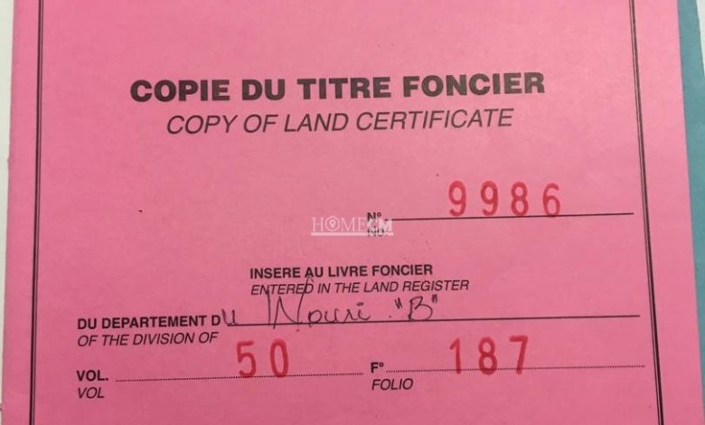 Assemblée nationale : L’oligarchie foncière dicte sa loi au Cameroun