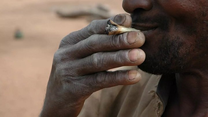 Addiction : La consommation des drogues explose au Cameroun