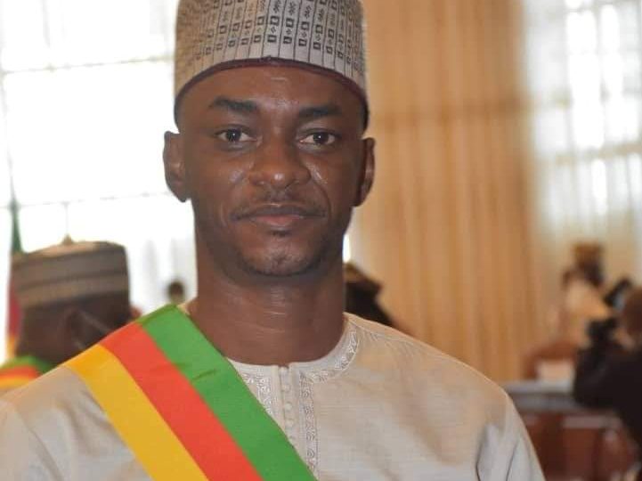 Crise anglophone : Cabral Libii sort de ses gonds