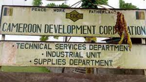 Economy :  Corporation Management  Urging Government To Maintain Status.