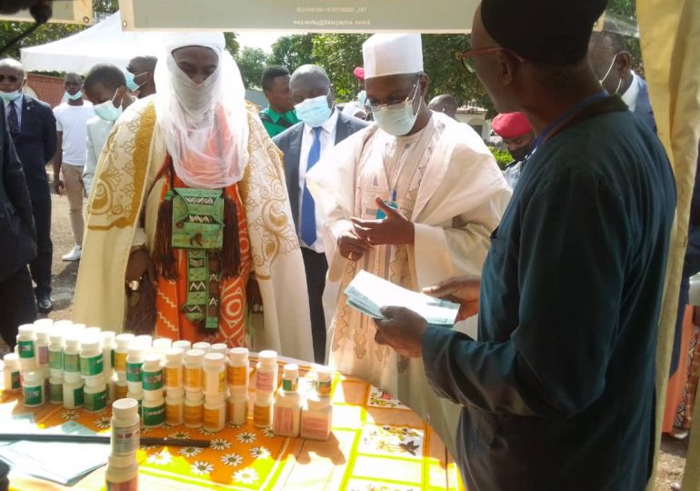 santé :  La médecine traditionnelle en guerre contre le coronavirus