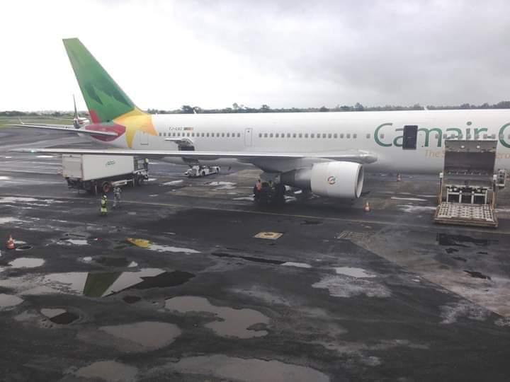 Economie : Camair-co est une entreprise qui bat de l’aille