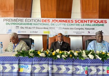 Lutte contre paludisme:Promouvoir l'innovation scientifique pour une riposte nationale efficace