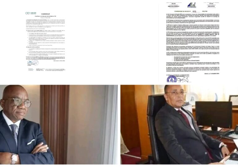 Port Autonome de Douala : précisions sur le dispositif de scanning des marchandises