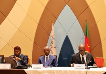 51ᵉ Session de l’Assemblée Parlementaire de la Francophonie : les sous-comités présentent leurs rapports préparatoires