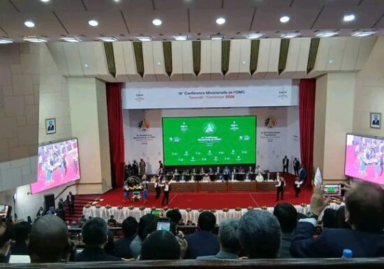 OMC-CM14 : Entre contradictions de l’OMC et espoirs de réforme