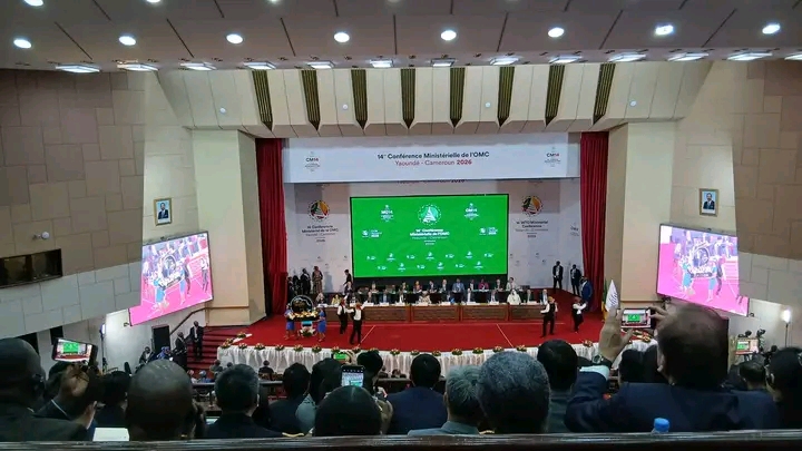 OMC-CM14 : Entre contradictions de l’OMC et espoirs de réforme