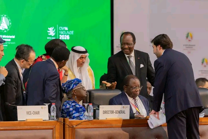 OMC-CM14: Négociations en altitude jusqu'au bout de la nuit