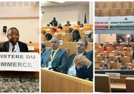 OMC-CM14: Le Ministre du Commerce à la Conférence Parlementaire sur l’OMC