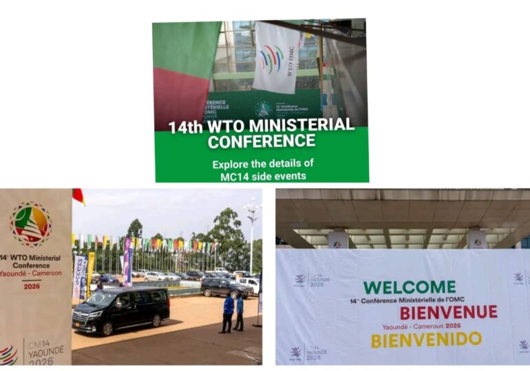 OMC-CM14 à Yaoundé : le programme en bref