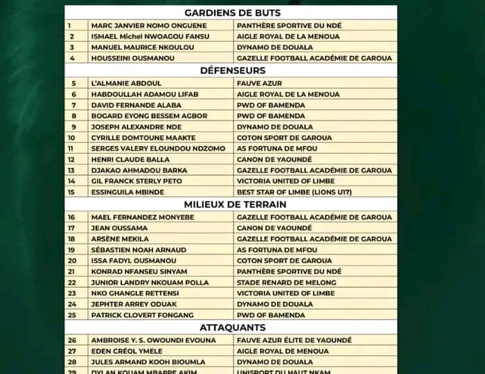 Lions Indomptables : 30 joueurs locaux convoqués pour un regroupement à Yaoundé