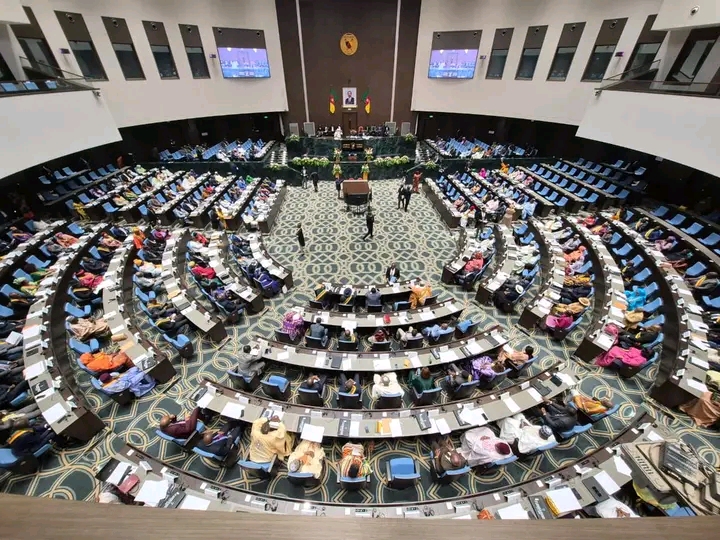 Assemblée nationale : Organisation et fonctionnement du Conseil constitutionnel en cours de réforme