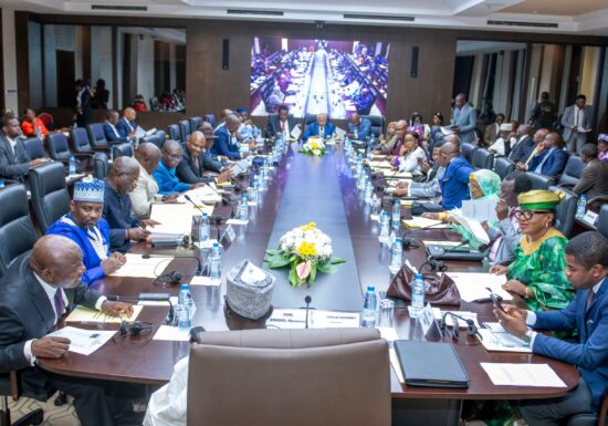 Assemblée nationale : Vers un nouvel équilibre entre Président, Vice-Président et Conseil constitutionnel