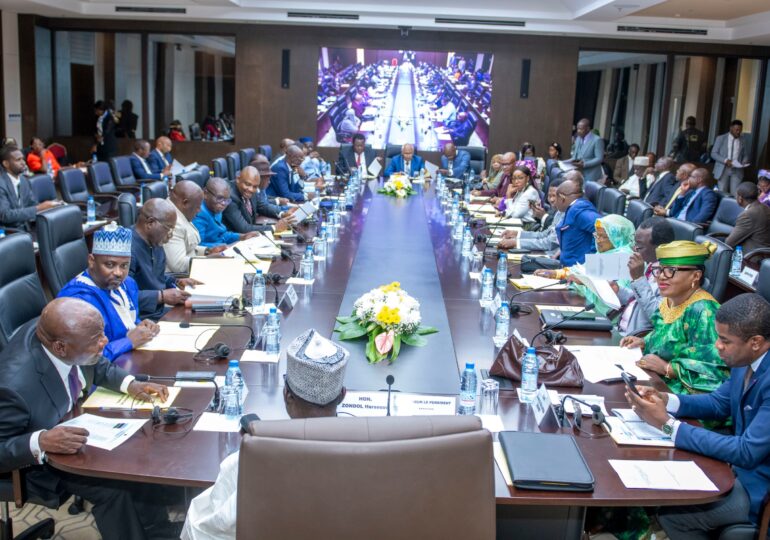 Assemblée nationale : Vers un nouvel équilibre entre Président, Vice-Président et Conseil constitutionnel