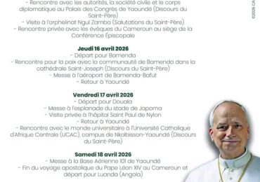 Analyse des enjeux canoniques, pastoraux et politiques de l’arrivée du pape Léon XIV au Cameroun