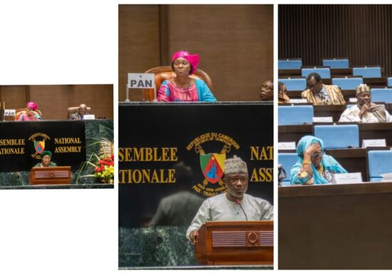 Assemblée nationale : VBG, télécoms et sécurité des Camerounais au centre des débats