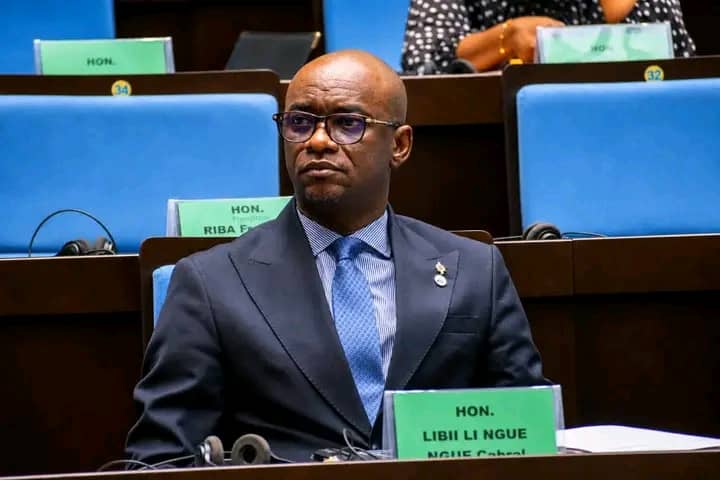51e session de l’APF : Cabral Libii parmi les figures distinguées de la Francophonie