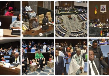 51e plénière APF : Un plaidoyer pour le multilatéralisme et la solidarité climatique