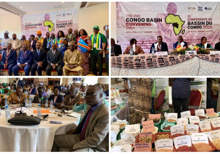 Bassin du Congo : vers des systèmes alimentaires durables et une gestion durable des écosystèmes